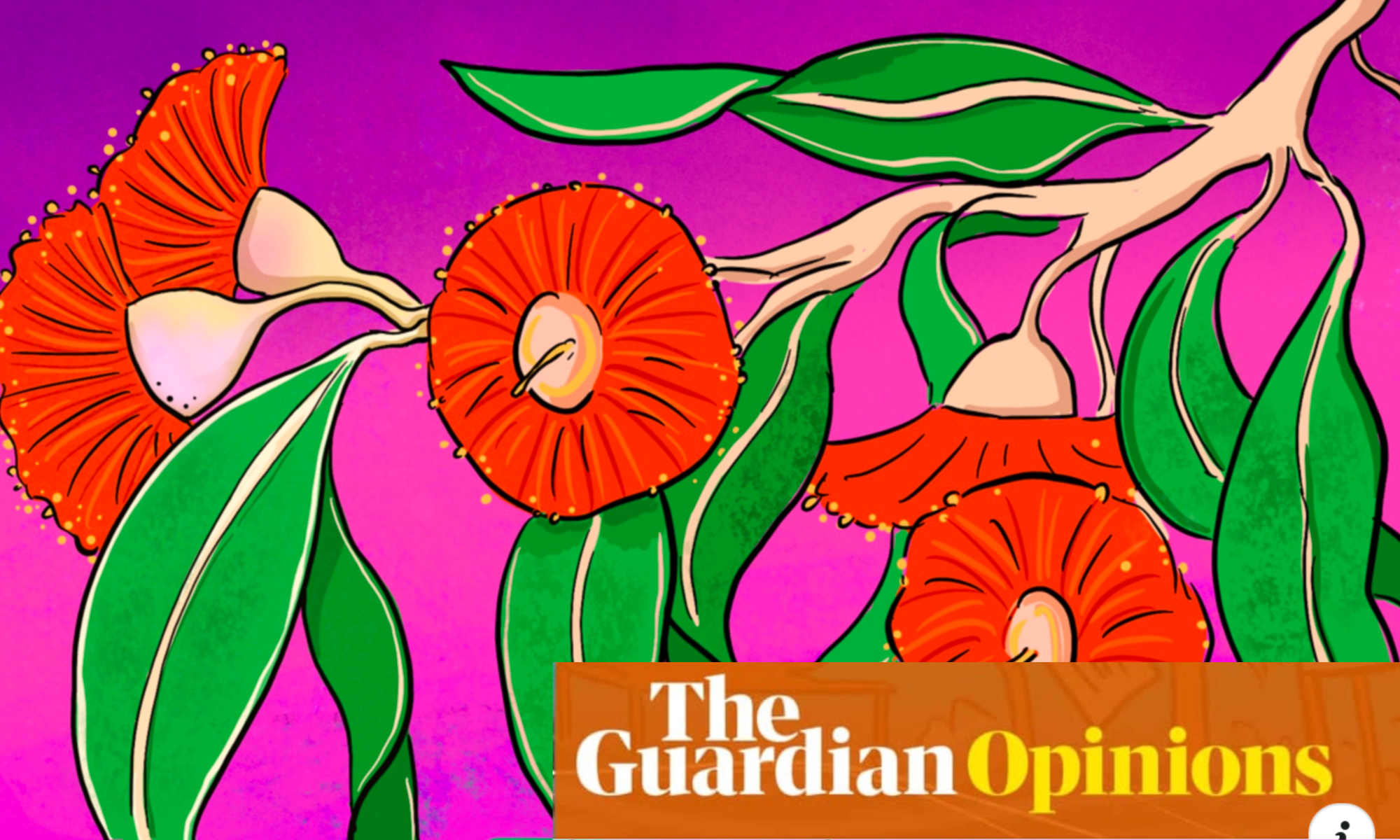 A love letter to neighbourhood trees